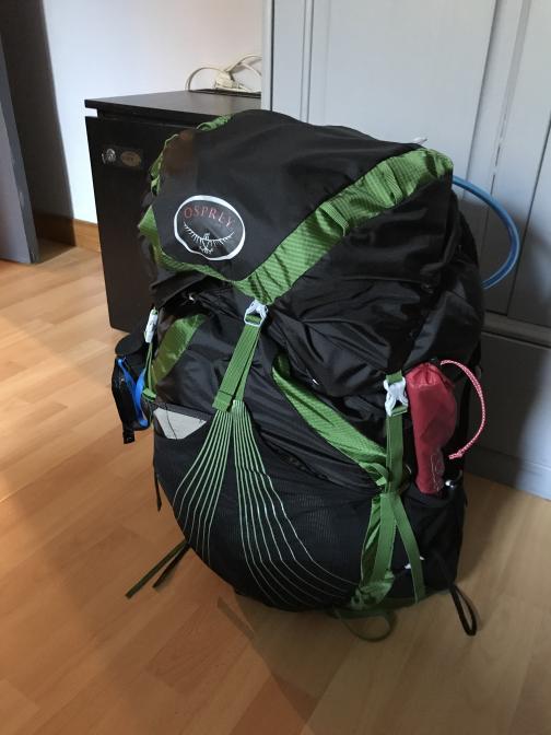 A black backpack with green trim,
full but not quite bulging, sits on a hardwood floor against a wardrobe.  It has
an Osprey logo on the top, a narrow red sack tucked in the near one side pocket,
perhaps a pair of handgrips visible on the far side, and a curved blue tube
coming out the top.
