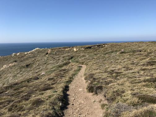 A rocky dirt trail winds ahead through low, scrubby, grey-green plants.  The ocean can be seen over the low rise ahead, and the ground slopes down towards it to the left.  The sky is blue with a faint haze near the horizon.