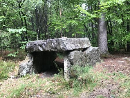 To the north is a dolmen:  two large stone slabs on either side supporting one even larger one on top.  The top slab slopes down slightly to the left; the structure might be four feet tall, and a little wider and longer.  The surrounding ground has grass and weeds; trees stand behind.