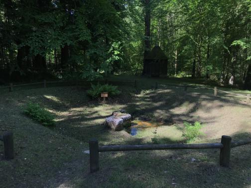 To the southwest is a broad
depression, perhaps 50′ across, ringed by a wooden fence lower than knee
height; gaps allow entry from the near and far sides.  In the bottom is a
stagnant-looking pool, with two stones that could be a convenient size to sit
on.  Beyond the depression is a forest, which (along with unseen trees to the
left) shade most of the scene.  Also in the depression are a few ferns, and a
sign reading “EAU NON POTABLE”.  Almost invisible in the
shade of the forest is a tiny hut.