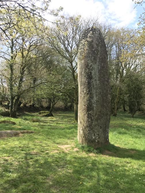 In the middle of a lawn stands a smooth, rounded menhir, more than 15′ tall.  Behind, to the south-southwest, are trees, their new leaves pale green.