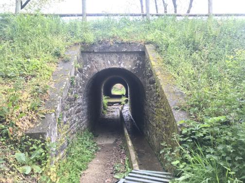 A low, narrow tunnel crosses southeast under an elevated trail.  The slope up to the trail is covered with weeds, and is not meant to be climbed.