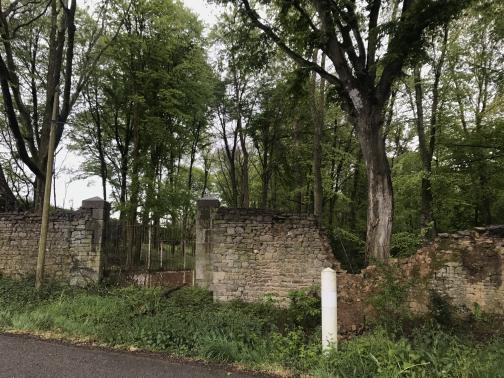 A stone wall runs alongside a paved road.  The wall is crumbling in one place, and appears to be in disrepair in others; the metal gate barring entry is rusty.  The space beyond, to the southeast, is full of tall, thin trees.  The little space between road and wall is filled with weeds.