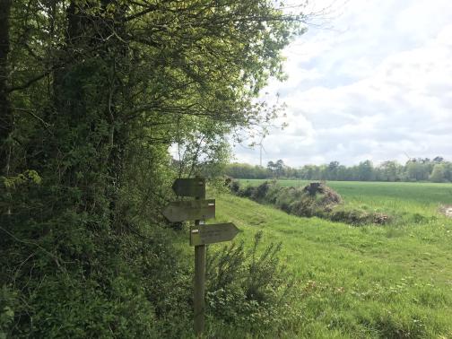 Another signpost stands next to trees at the edge of a large field to the southeast.  Signs point ahead to the right (a GR), ahead to the left (a GRP, with a yellow stripe over a red stripe), and back to the left (another GR).  The sky is mostly filled with clouds.
