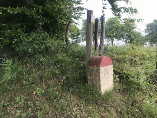 On a low brushy slope stands a rectangular stone (or perhaps concrete) marker with a round top.  The top is painted red, the rest white, with “GR 22” stenciled in red on the side; moss or dirt makes the stenciling slightly difficult to read.  A wooden post immediately next to the marker has a small placard tacked to the top, showing a triangle over two circles, a cycle path marker.  Barbed wire runs along near the top of the slope; a large shrub grows to the left.